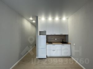 студия, 18 м², этаж 12