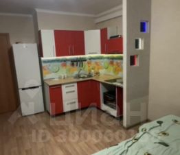 студия, 26 м², этаж 9