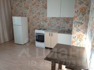 студия, 24 м², этаж 8