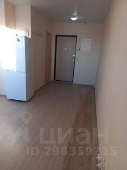 студия, 24 м², этаж 10