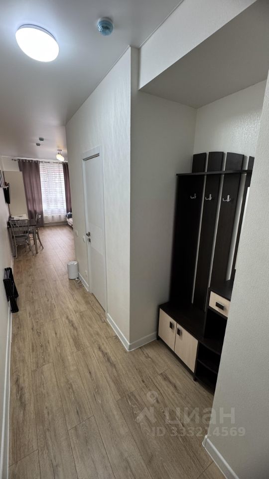 Квартира-студия, 25 м² — фото 2