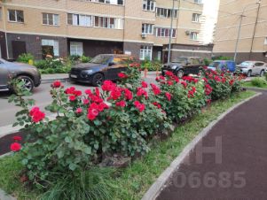 1-комн.кв., 47 м², этаж 7