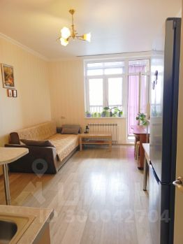 студия, 24 м², этаж 16