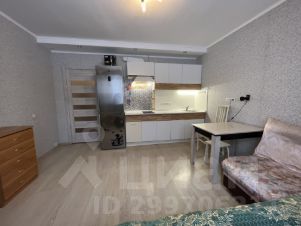 студия, 25 м², этаж 2