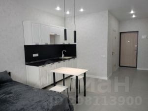 студия, 34 м², этаж 12