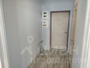 студия, 24 м², этаж 12