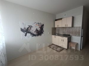 студия, 22 м², этаж 11