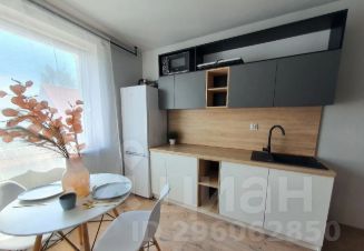 1-комн.кв., 50 м², этаж 5