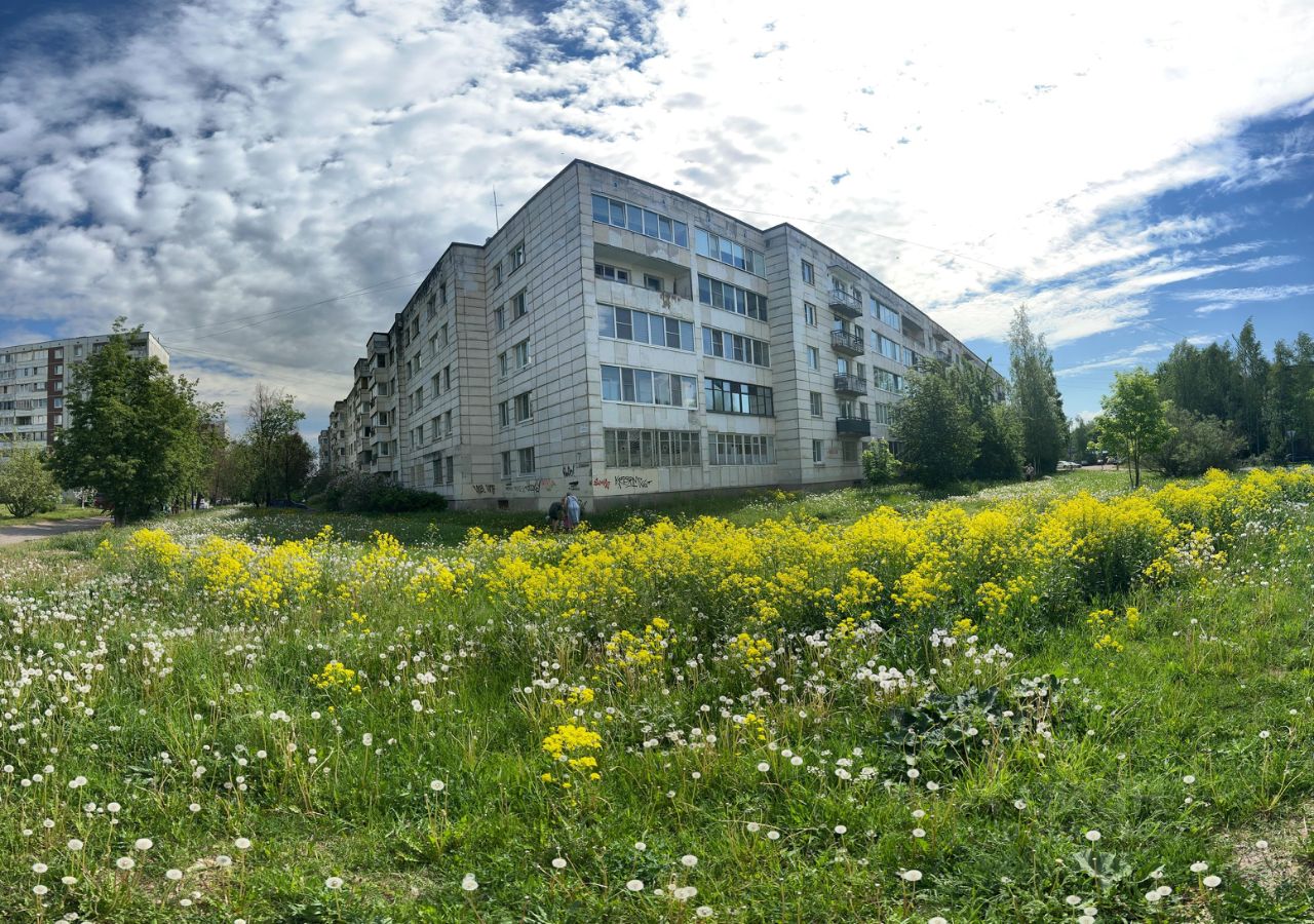 Купить 2-комнатную квартиру на улице Новоселов в городе Гатчина, продажа  двухкомнатных квартир во вторичке и первичке на Циан. Найдено 3 объявления