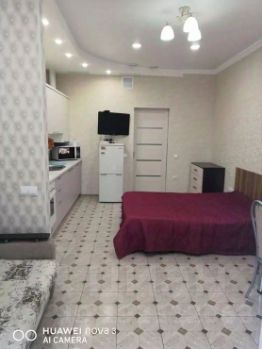 апарт.-студия, 29 м², этаж 1