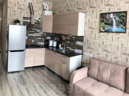 1-комн.апарт., 50 м², этаж 4