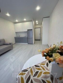 студия, 24 м², этаж 8