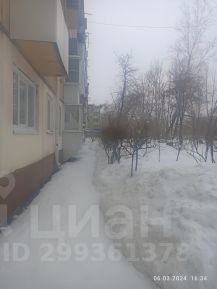 1-комн.кв., 31 м², этаж 1