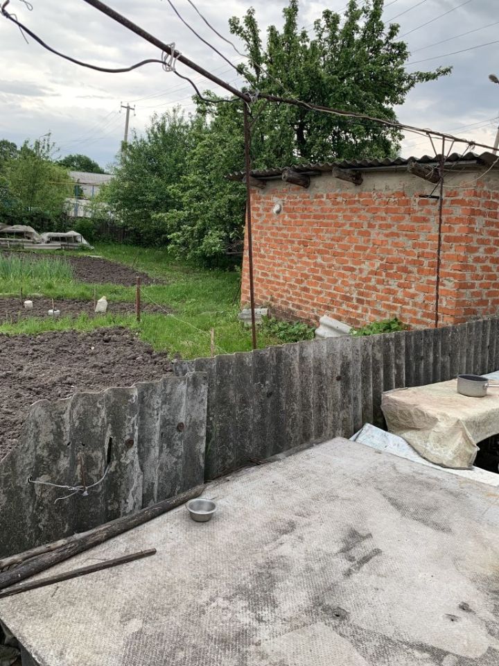 Комната 2-комн. 45 м² в с. Гостищево — фото 2