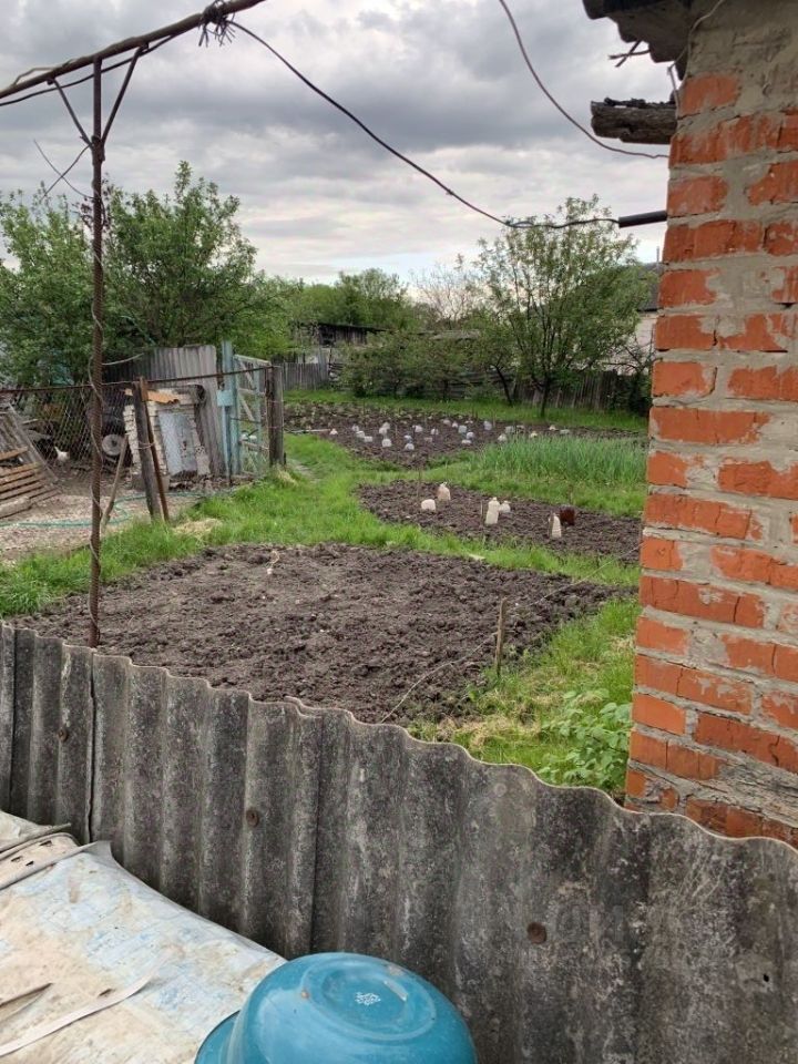 Комната 2-комн. 45 м² в с. Гостищево — фото 4