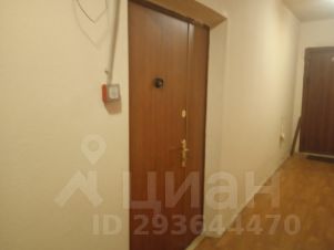 2-комн.кв., 52 м², этаж 11