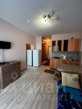 студия, 24 м², этаж 2