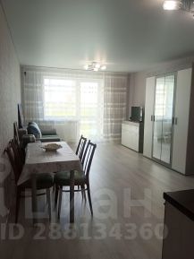 студия, 38 м², этаж 17