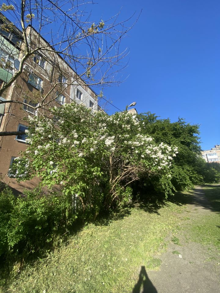 1-к кв. Калининградская область, Калининград ул. Подполковника ., Купить квартир