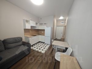 студия, 18 м², этаж 10