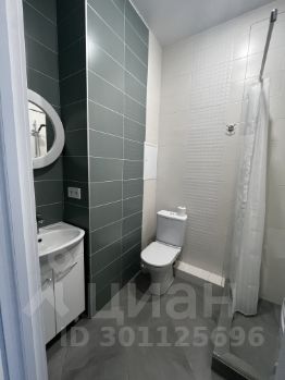 студия, 20 м², этаж 5