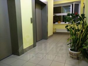 1-комн.кв., 55 м², этаж 10