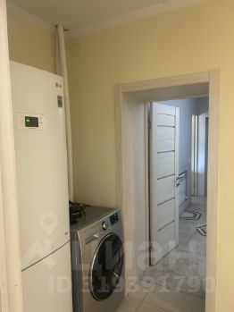 студия, 16 м², этаж 1