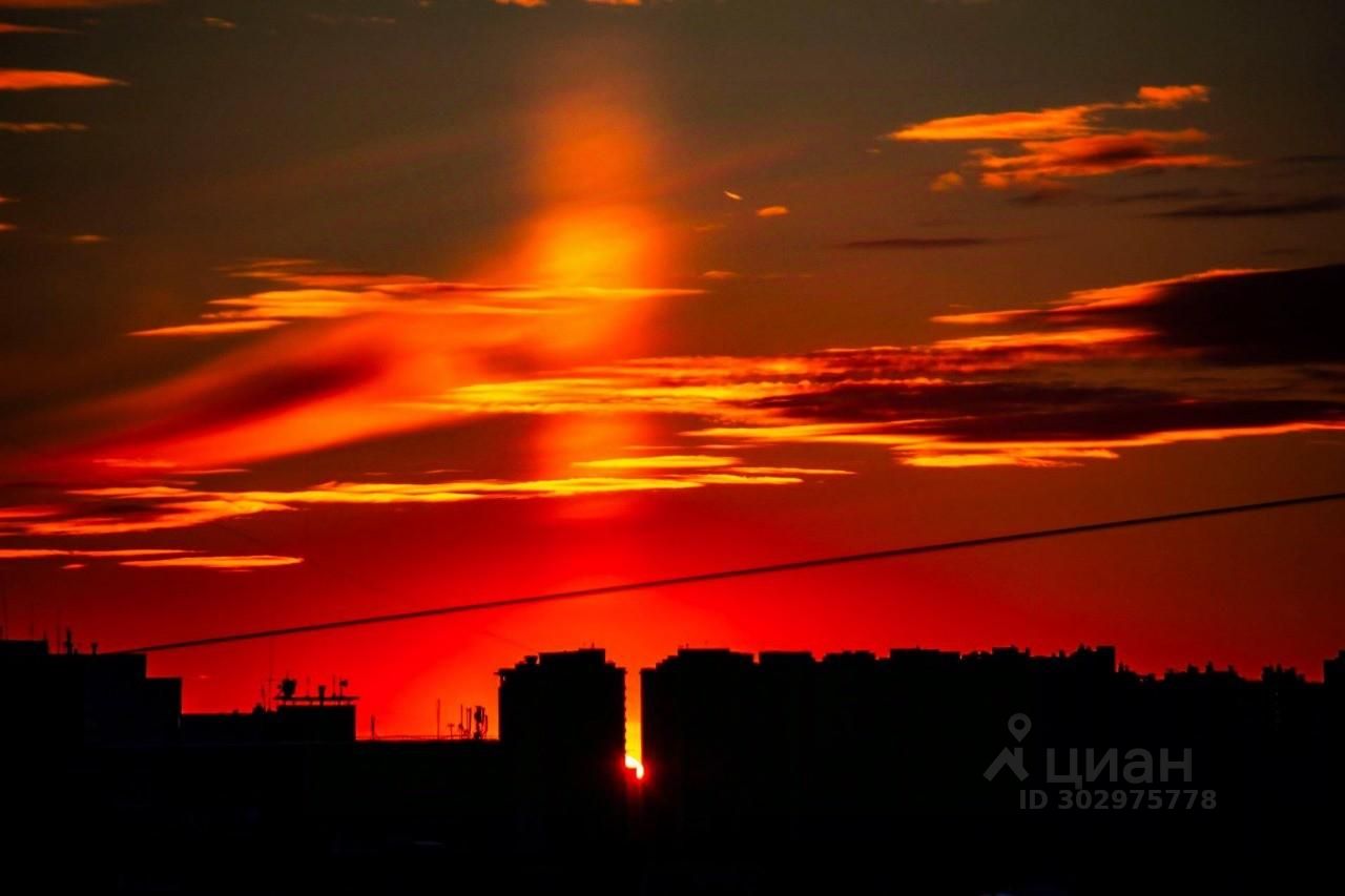 Купить 1-комнатную квартиру на улице Исаева в городе Королев, продажа  однокомнатных квартир во вторичке и первичке на Циан. Найдено 4 объявления