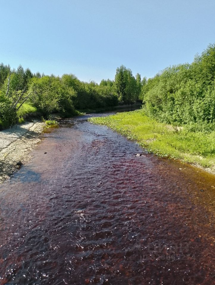 Квартира 3-комн. 58.5 м² в д. Красавино — фото 10 из 17