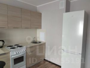 студия, 24 м², этаж 11