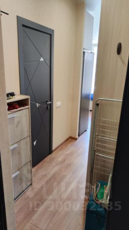 студия, 28 м², этаж 14