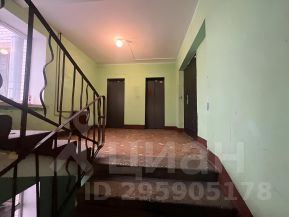 2-комн.кв., 31 м², этаж 3