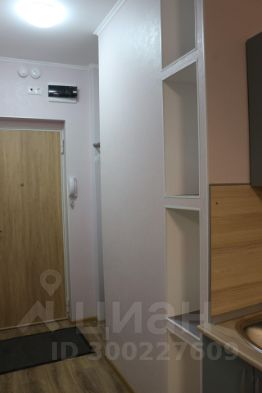 студия, 19 м², этаж 15