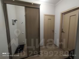 студия, 29 м², этаж 13