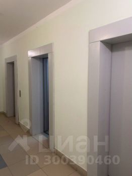 2-комн.кв., 66 м², этаж 5