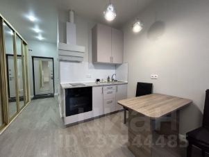 студия, 25 м², этаж 12