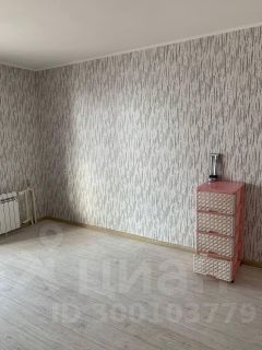 студия, 36 м², этаж 17