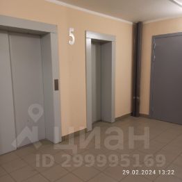 студия, 22 м², этаж 5