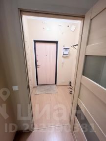 студия, 25 м², этаж 13