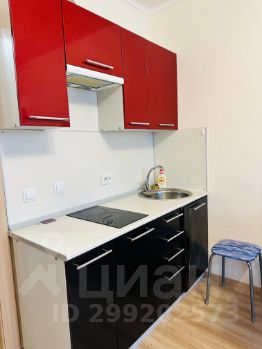 студия, 26 м², этаж 16