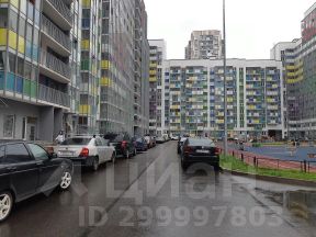 студия, 24 м², этаж 12