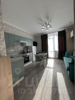 студия, 25 м², этаж 10