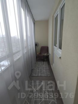 студия, 37 м², этаж 13