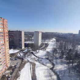 студия, 39 м², этаж 15