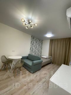 студия, 29 м², этаж 12