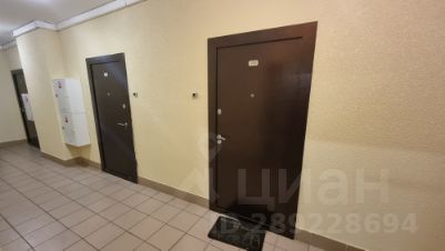 студия, 23 м², этаж 17