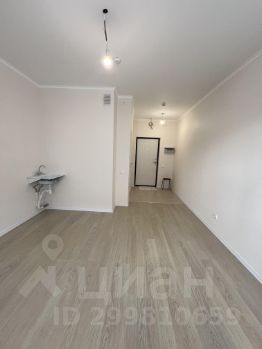 студия, 24 м², этаж 6