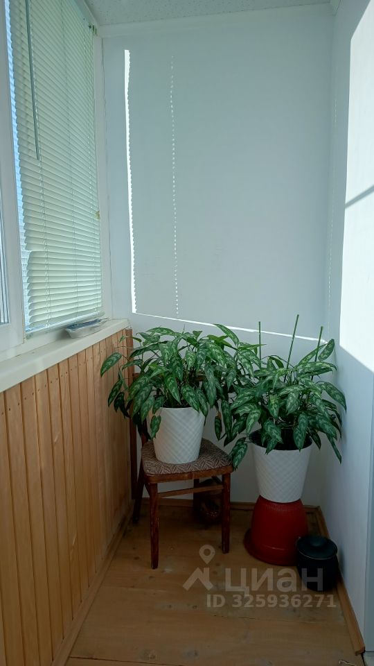 1-к кв. Вологодская область, Вологда Молочное пгт, ул. Шмидта, 18 (38.0 м²)