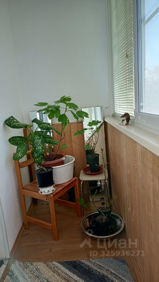 1-к кв. Вологодская область, Вологда Молочное пгт, ул. Шмидта, 18 (38.0 м²)