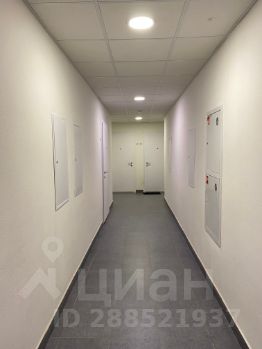 студия, 20 м², этаж 14